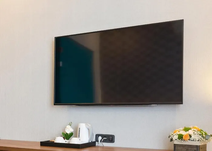 ميلينيوم باريس شارل ديغول فندق 4*