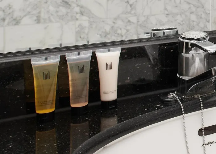 فندق ميلينيوم باريس شارل ديغول 4*